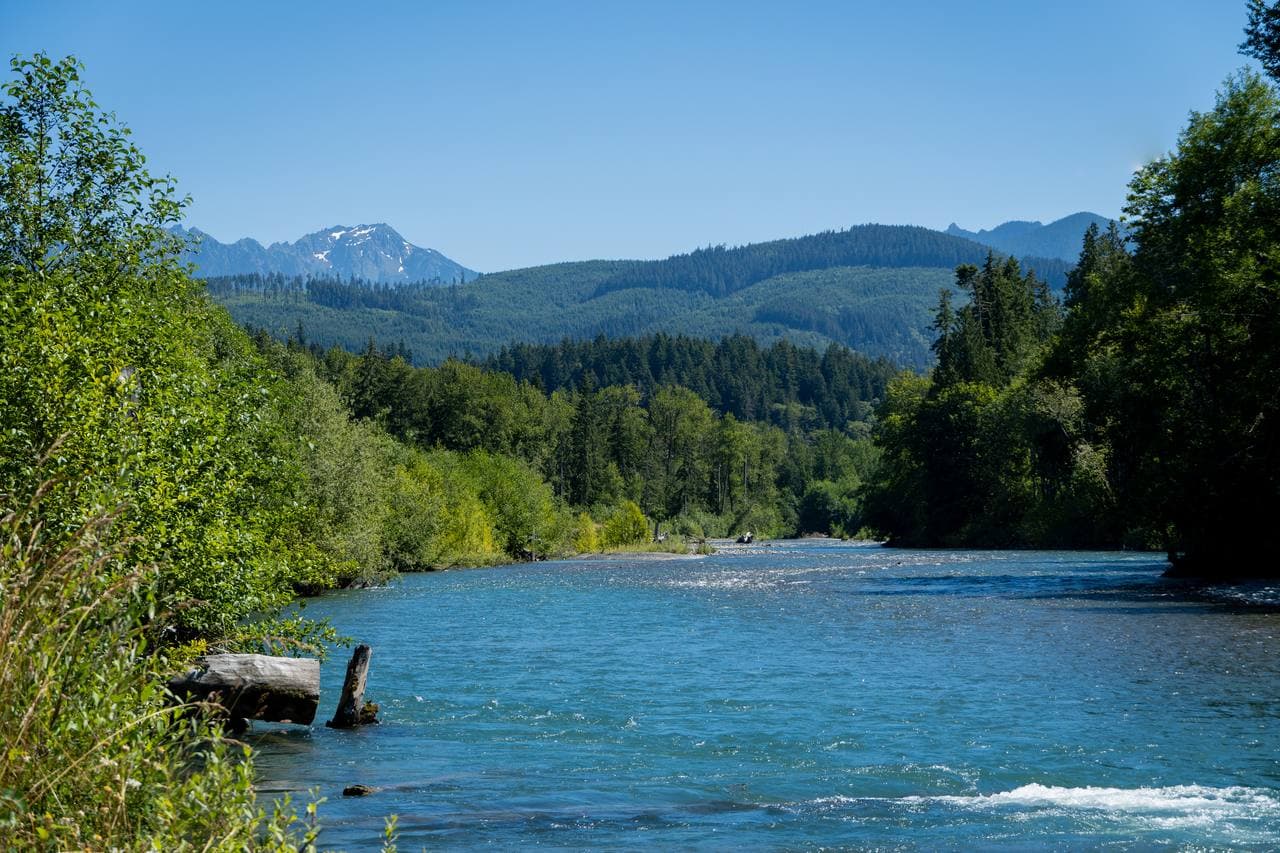 The Elwha — a River Set Free (Madison Falls)