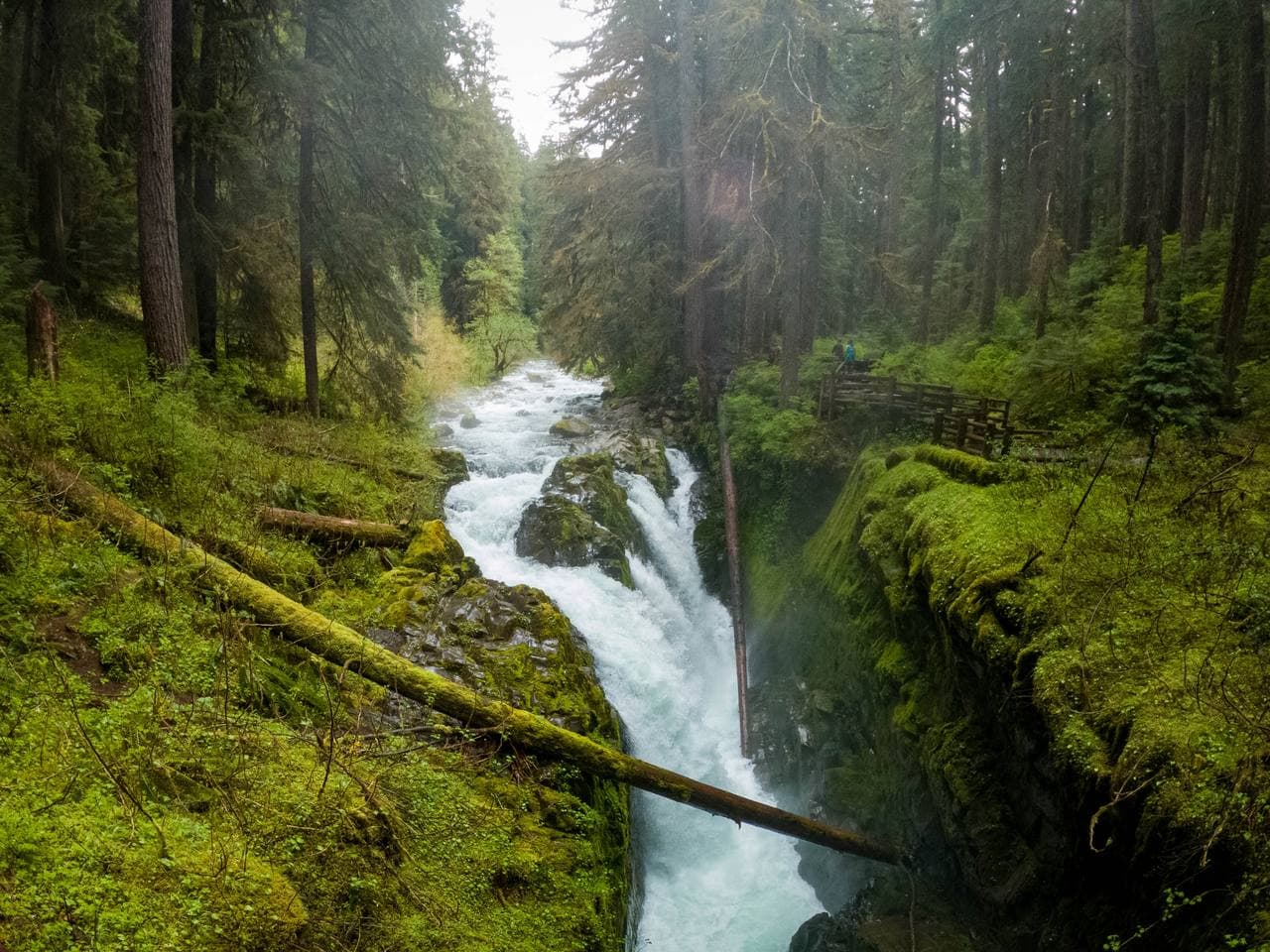 Sol Duc Falls — the river splits and falls