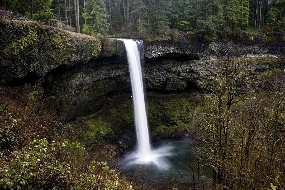Silver Falls โ Maple Ridge Loop
